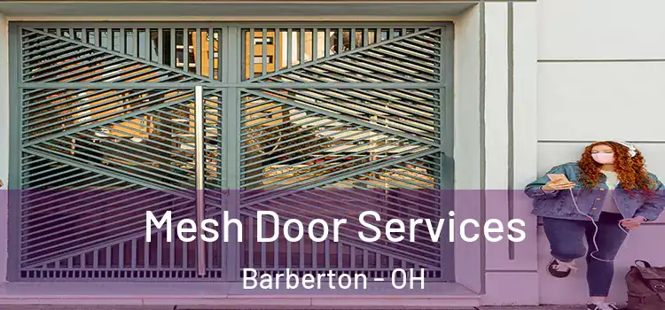 Mesh Door Services Barberton - OH
